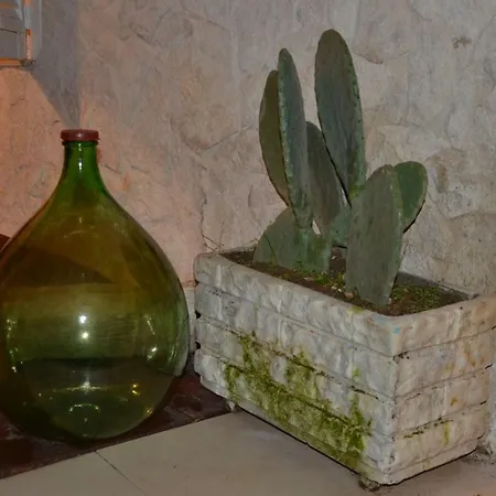 Apartment House Garden Bari